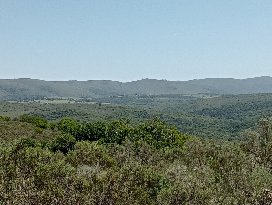 Commercial Property for Sale in Rocklands Eastern Cape